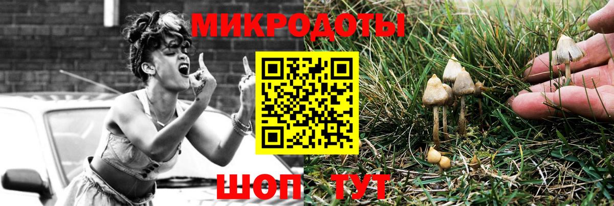 Бийск  Псилоцибиновые грибы мицелий  Вход с VPN 